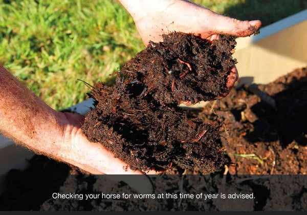 Checking your horse for worms at this time of year is advised. EQU StreamZ blog image.
