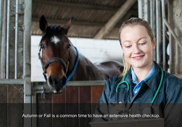 EQU Streamz autumn or fall health checklist blog image. Seeing a vet for a full health check is common at this time of year. 