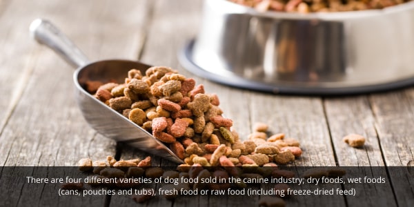 A balanced and mixed diet is important in dog foods. DOG Streamz blog image. 