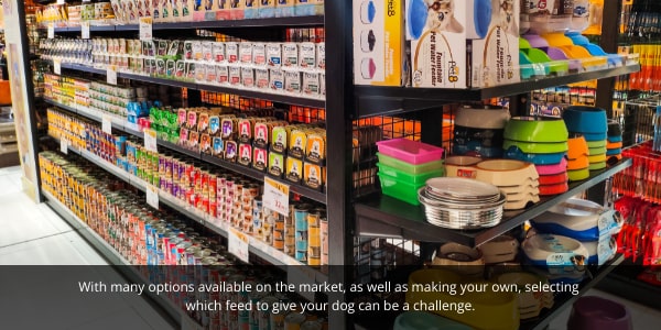 Choosing what dog food to give your dog can be a challenge.