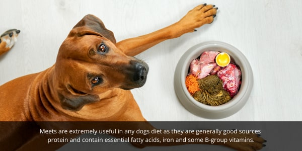 Meet is commonly used in dog foods. DOG Streamz blog image. 