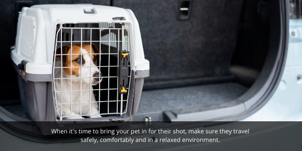 When it's time to bring your pet in for their shot, make sure they travel  safely, comfortably and in a relaxed environment. 