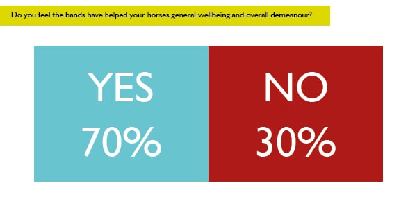 Do you feel the bands have helped the general wellbeing and overall demeanour of your horse?