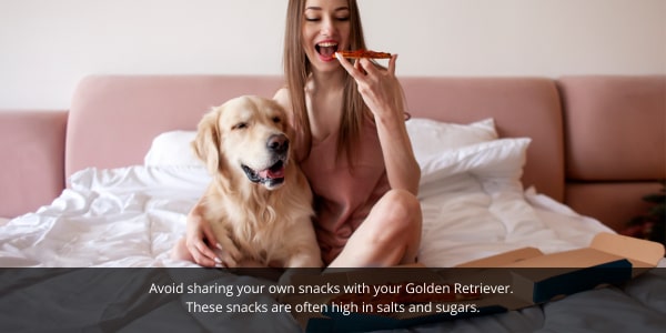 Golden Retrievers need a natural diet consisting of the correct nutrients and vitamins