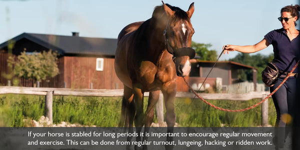 Keeping your horse movement is important when managing your horse hoof health