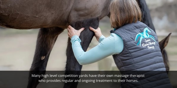 equine massage therapy by a professional