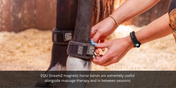 Massage therapy with equ streamz magnetic horse bands