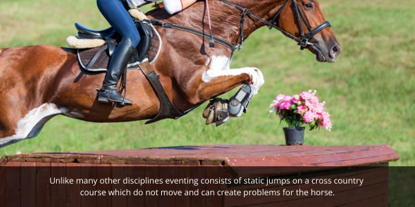 Eventing horses have to jump over static jumps which can lead to injuries and cuts and bruises