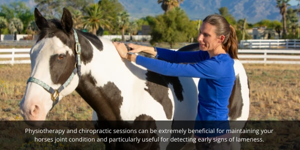 Equine and Horse Physiotherapy sessions can help keep your horses joints supple. EQU Streamz blog. 