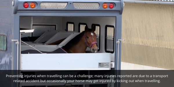 Extra precaution is required when travelling with your eventing horse. EQU Streamz blog image. 