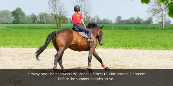 Horse owners will adopt a fitness routine around 6-8 weeks before the summer months arrive to get their horses fitness levels up