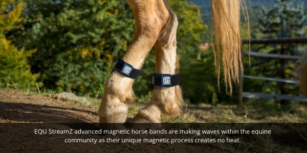 EQU Streamz magnetic horse bands for summer injuries in horses