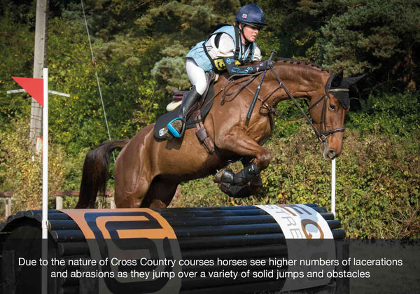 Due to the nature of Cross Country courses horses see higher numbers of lacerations and abrasions as they jump over a variety of solid jumps and obstacles