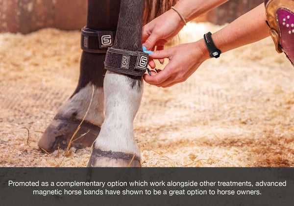 EQU Streamz advanced magnetic therapy for inflammation reduction in horse images for blog