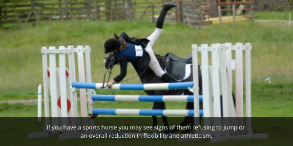 Kissing spine blog image of horse refusing to jump over hurdle and girl falling off horse.