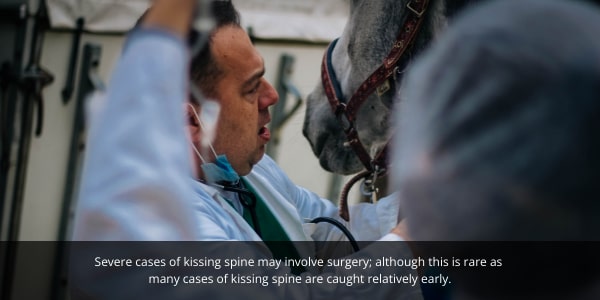 Kissing spine blog image. Vet beginning surgery on horse with kissing spine. 