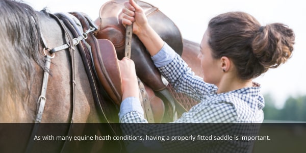 Kissing spine injury blog. Image of women fitting horses saddle.