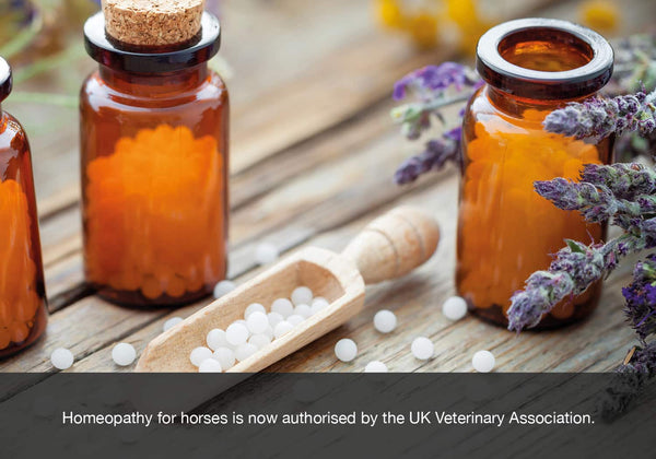EQU Streamz blog image homeopathy now approved by uk vmd