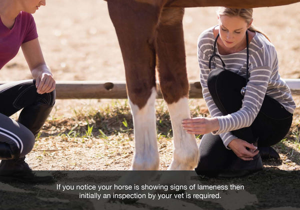 The first step in spotting equine lameness is your vet carrying out an inspection. Blog image for equ streamz blog.