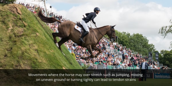 A horse may over stretch when jumping, moving on uneven ground or turning tightly which can lead to tendon and ligament injuries
