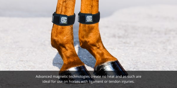 EQU Streamz advanced magnetic horse bands can be used on horses with ligament and tendon injuries as no heat is created