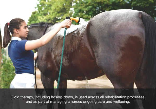 EQU Streamz hot or cold therapy image of horse being hosed down cold therapy