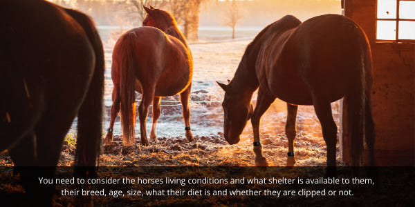 You need to consider the horses living conditions and what shelter is available to them, their breed, age, size, what their diet is and whether they are clipped or not.