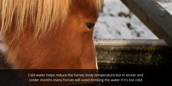 EQU StreamZ horse bands blog image for health horse in winter. Horses need to drinking water to stay healthy