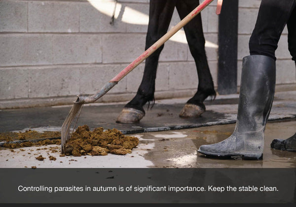 EQU Streamz look after your horse this autumn or fall image. Cleaning your stable is vital to keep parasites at bay.