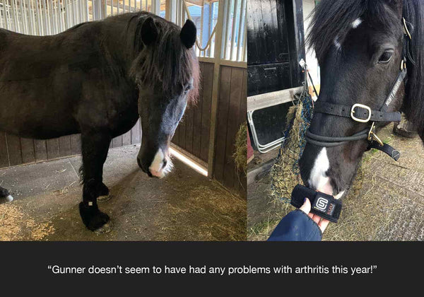 Gunner feedback from horseworld trust on how equ streamz advanced magnetic bands have helped him