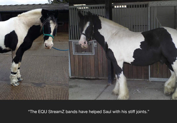 EQU Streamz feedback on Saul using his advanced magnetic bands to aid his stiffness and arthritic joints