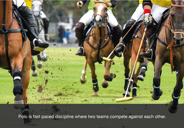 Polo discipline for horse riders equ streamz blog entry image