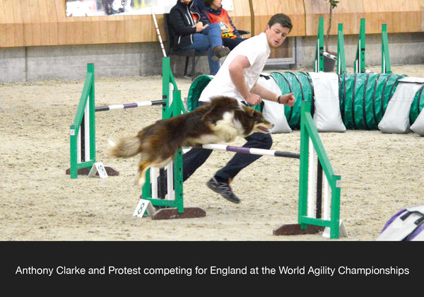 Anthony Clarke International Agility Judge, Team GB competitor and Trainer