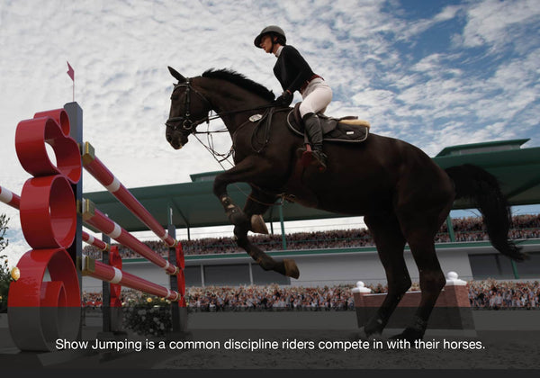 EQU Streamz magnetic horse bands blog entry on show jumping discipline for horse riding