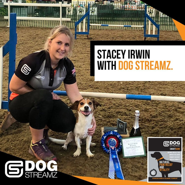 Stacey Irwin with dog streamz winners of world agility championships