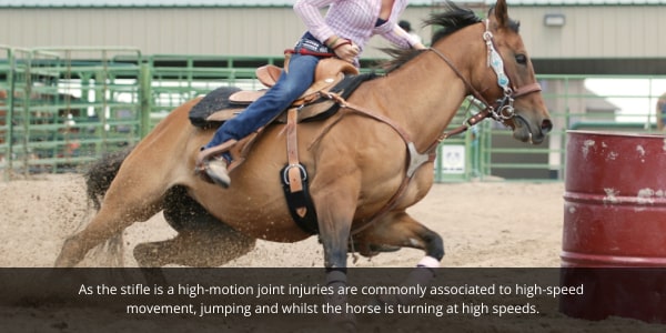 Horse Stifle Injury Blog. Image of barrel racing horse turning at high speed risk of creating stifle injury.