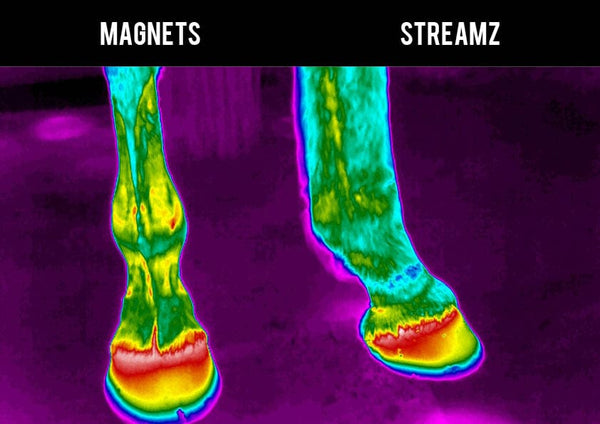 Thermal Imagining study EQU Streamz versus traditional magnetic technology no heat create suitable for 24/7 use and immediately after exercise image 1 