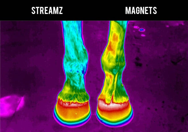 Thermal Imagining study EQU Streamz versus traditional magnetic technology no heat create suitable for 24/7 use and immediately after exercise image 1 