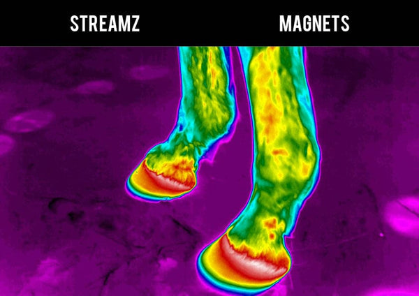 Thermal Imagining study EQU Streamz versus traditional magnetic technology no heat create suitable for 24/7 use and immediately after exercise image 3