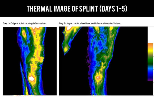 Thermal imaging study on EQU Streamz advanced magnetic bands for horses image 2