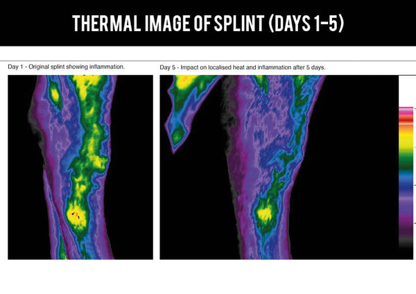 Thermal imaging study on EQU Streamz advanced magnetic bands for horses image 3