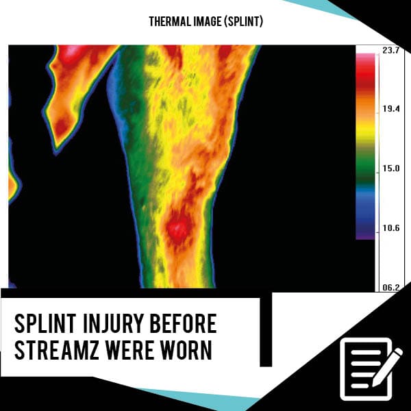 EQU Streamz Thermal Imaging Study no heat created by streamz advanced magnetic action image on day one priorto equ streamz bands being fitted to fetlock over splint injury