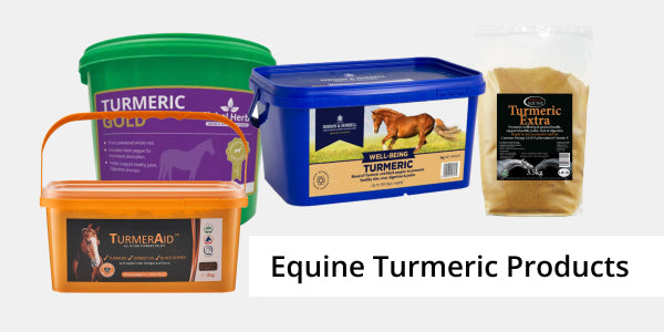 Tuermic powders are now used a variety of equine health supplements