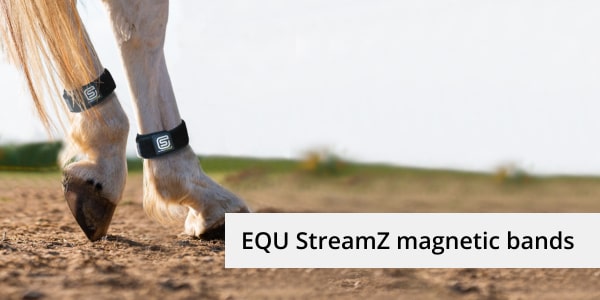 EQU Streamz bands offer horse owners an alternative health option