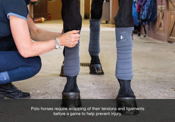 EQU Streamz advanced magnetic horse bands for polo horses and ponies blog image of polo horse having legs wrapped with grey polo wrap bandaging