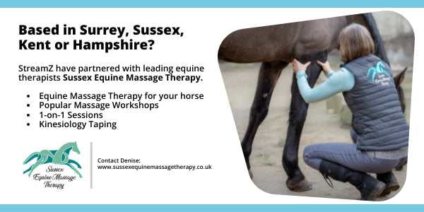 Equine Massage Services work well with EQU StreamZ Magnetic Horse Bands