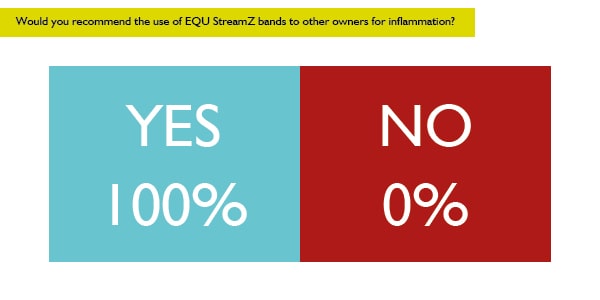 Would you recommend EQU StreamZ horse bands to other horse owners as a complementary method to help reduce the symptoms of inflammation or swelling or leg filling