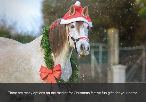 EQU Streamz Christmas xmas gift ideas for horses