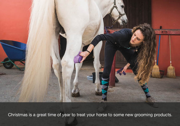 EQU Streamz horse grooming gift this christmas and new year best gift to get your horse