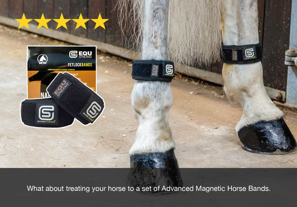 EQU Streamz perfect gift idea for your horse present